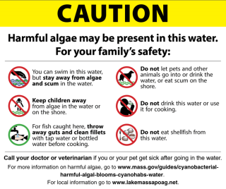 Algae Information