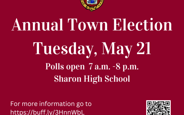 Annual Town Election graphic
